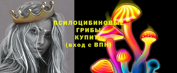кокс Михайлов