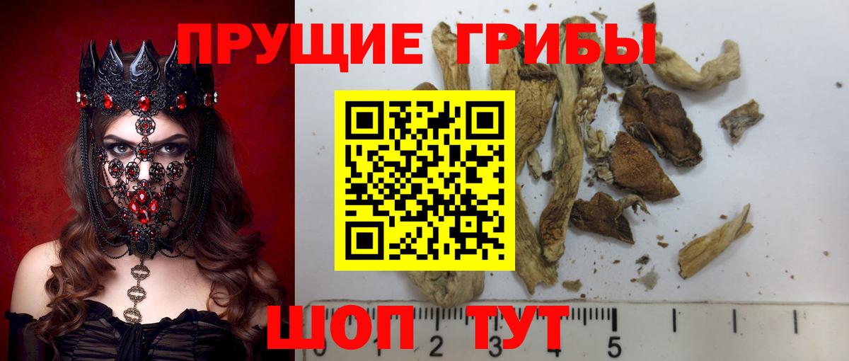 ГАШИШ Благовещенск